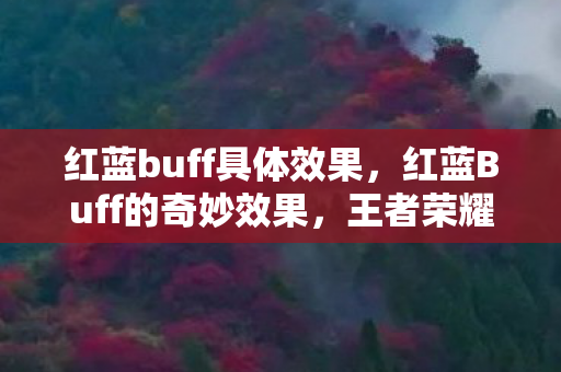 红蓝buff具体效果,红蓝Buff的奇妙效果,王者荣耀中的关键增益解析 红蓝buff具体效果,红蓝Buff的奇妙效果,王者荣耀中的关键增益解析