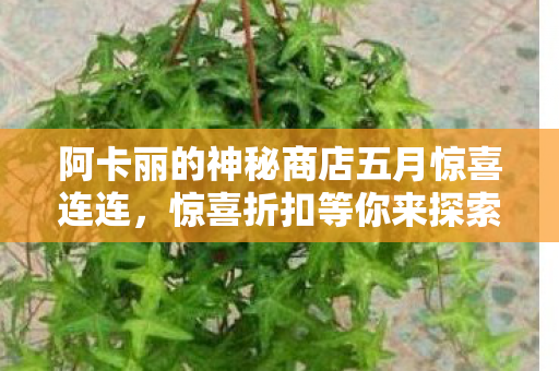 阿卡丽的神秘商店五月惊喜连连，惊喜折扣等你来探索！
