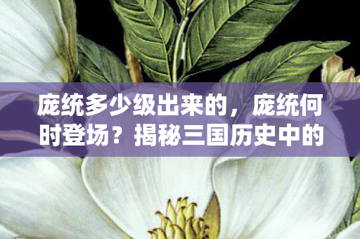 庞统多少级出来的，庞统何时登场？揭秘三国历史中的智者风采