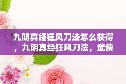 九阴真经狂风刀法怎么获得，九阴真经狂风刀法，武侠世界中的绝世刀法