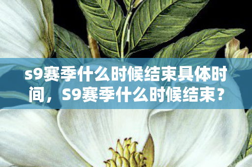 s9赛季什么时候结束具体时间，S9赛季什么时候结束？详解王者荣耀赛季时间