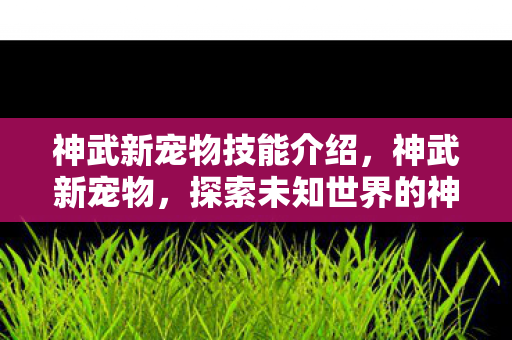 神武新宠物技能介绍,神武新宠物,探索未知世界的神秘伙伴 神武新宠物技能介绍,神武新宠物,探索未知世界的神秘伙伴