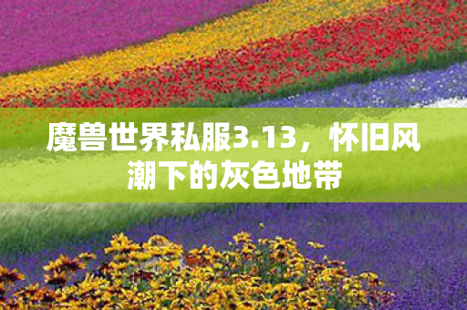 魔兽世界私服3.13，怀旧风潮下的灰色地带