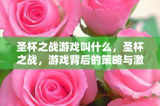 圣杯之战游戏叫什么,圣杯之战,游戏背后的策略与激情 圣杯之战游戏叫什么,圣杯之战,游戏背后的策略与激情
