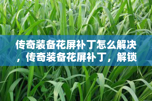 传奇装备花屏补丁怎么解决,传奇装备花屏补丁,解锁游戏新体验 传奇装备花屏补丁怎么解决,传奇装备花屏补丁,解锁游戏新体验