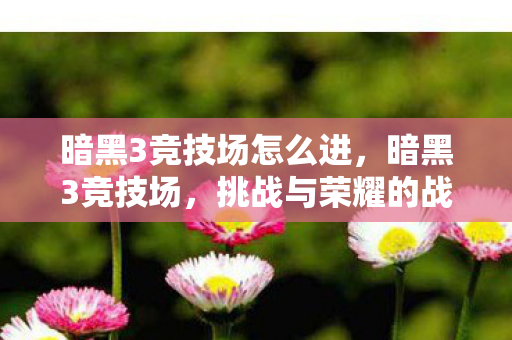 暗黑3竞技场怎么进，暗黑3竞技场，挑战与荣耀的战场