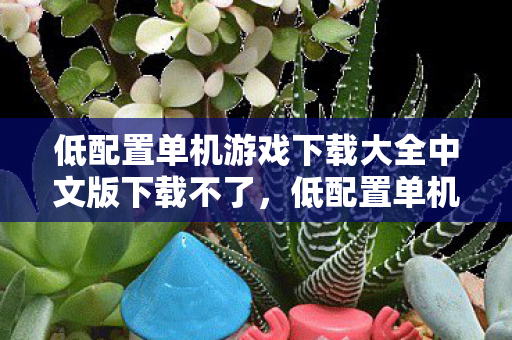 低配置单机游戏下载大全中文版下载不了图片