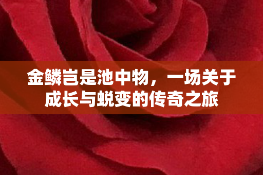 金鳞岂是池中物，一场关于成长与蜕变的传奇之旅
