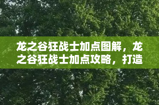 龙之谷狂战士加点图解,龙之谷狂战士加点攻略,打造最强战斗狂 龙之谷狂战士加点图解,龙之谷狂战士加点攻略,打造最强战斗狂