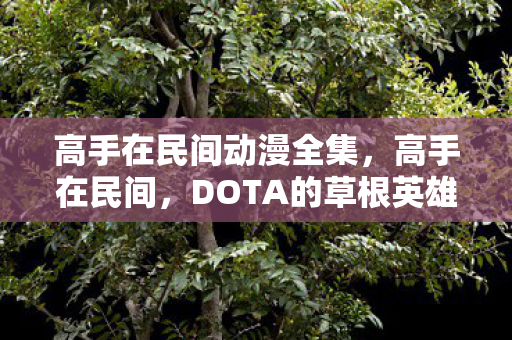 高手在民间动漫全集,高手在民间,DOTA的草根英雄 高手在民间动漫全集,高手在民间,DOTA的草根英雄
