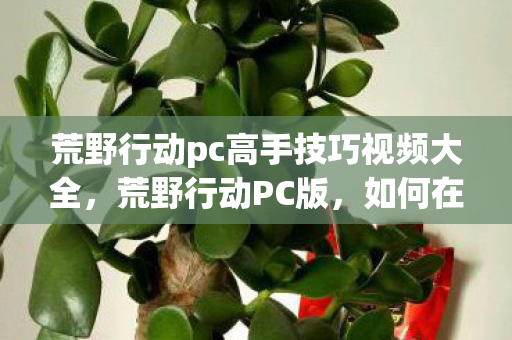 荒野行动pc高手技巧视频大全,荒野行动PC版,如何在电脑上玩转这款热门射击游戏 荒野行动pc高手技巧视频大全,荒野行动PC版,如何在电脑上玩转这款热门射击游戏