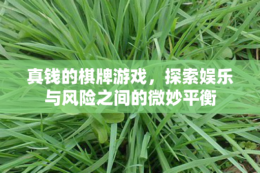 真钱的棋牌游戏,探索娱乐与风险之间的微妙平衡 真钱的棋牌游戏,探索娱乐与风险之间的微妙平衡