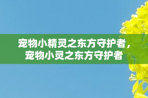 宠物小精灵之东方守护者，宠物小灵之东方守护者