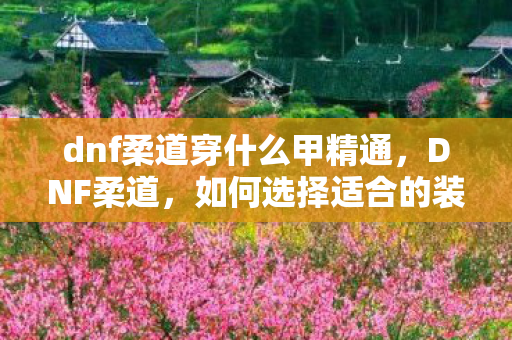 dnf柔道穿什么甲精通,DNF柔道,如何选择适合的装备 dnf柔道穿什么甲精通,DNF柔道,如何选择适合的装备