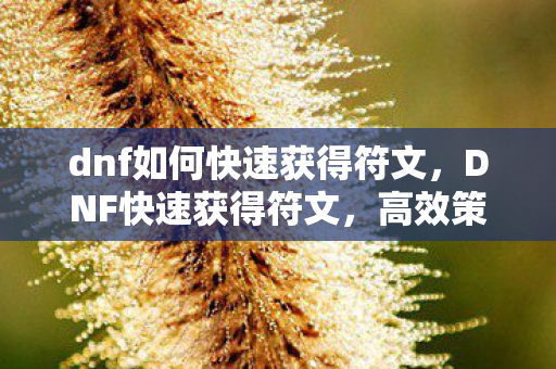 dnf如何快速获得符文,DNF快速获得符文,高效策略与技巧 dnf如何快速获得符文,DNF快速获得符文,高效策略与技巧