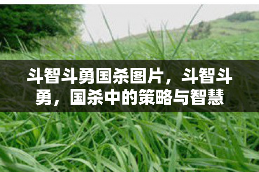 斗智斗勇国杀图片,斗智斗勇,国杀中的策略与智慧 斗智斗勇国杀图片,斗智斗勇,国杀中的策略与智慧