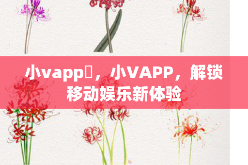 小vapp汅，小VAPP，解锁移动娱乐新体验