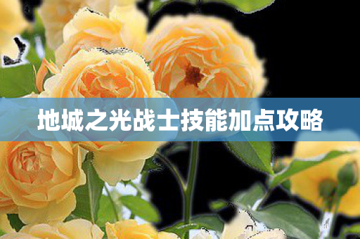 地城之光战士技能加点攻略