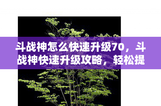 斗战神怎么快速升级70，斗战神快速升级攻略，轻松提升你的角色等级