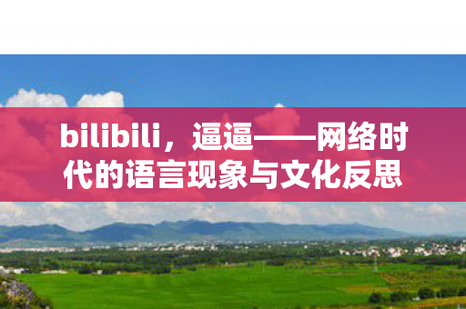 bilibili,逼逼——网络时代的语言现象与文化反思 bilibili,逼逼——网络时代的语言现象与文化反思