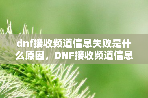 dnf接收频道信息失败是什么原因，DNF接收频道信息失败，原因分析与解决策略