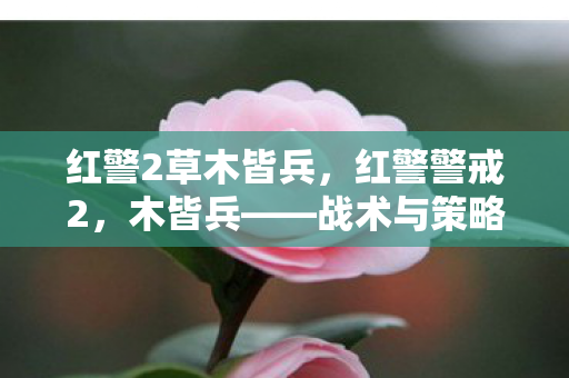 红警2草木皆兵，红警警戒2，木皆兵——战术与策略的深度剖析