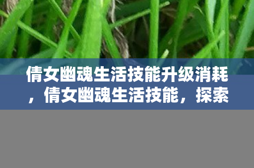 倩女幽魂生活技能升级消耗，倩女幽魂生活技能，探索游戏内外的生存之道