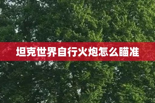 坦克世界自行火炮怎么瞄准 坦克世界自行火炮怎么瞄准