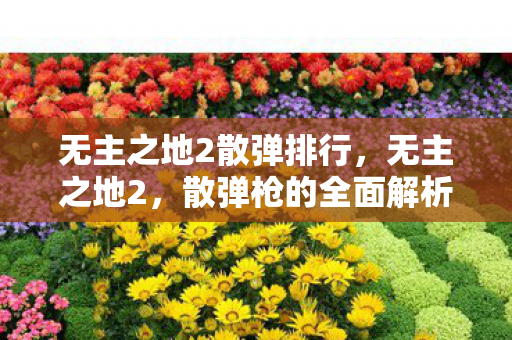 无主之地2散弹排行,无主之地2,散弹枪的全面解析 无主之地2散弹排行,无主之地2,散弹枪的全面解析