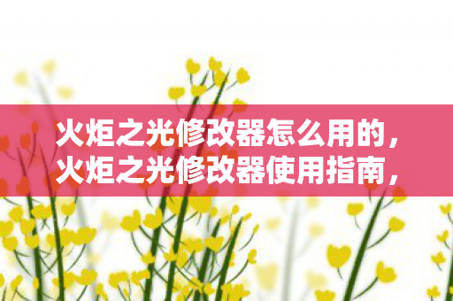 火炬之光修改器怎么用的，火炬之光修改器使用指南，打造你的游戏新体验