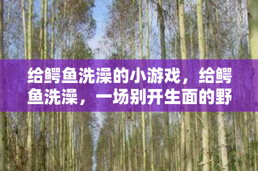 给鳄鱼洗澡的小游戏，给鳄鱼洗澡，一场别开生面的野生动物护理体验