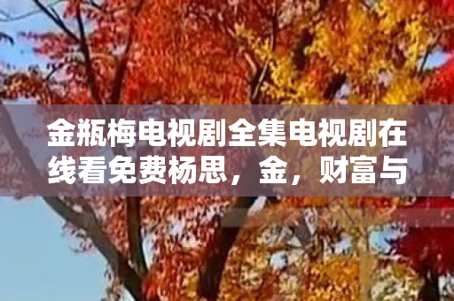 金瓶梅电视剧全集电视剧在线看免费杨思,金,财富与权力的象征 金瓶梅电视剧全集电视剧在线看免费杨思,金,财富与权力的象征