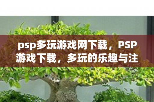 psp多玩游戏网下载，PSP游戏下载，多玩的乐趣与注意事项