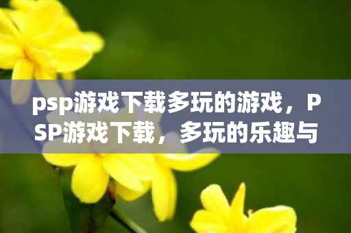 psp游戏下载多玩的游戏,PSP游戏下载,多玩的乐趣与注意事项 psp游戏下载多玩的游戏,PSP游戏下载,多玩的乐趣与注意事项