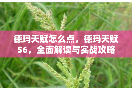 德玛天赋怎么点，德玛天赋S6，全面解读与实战攻略