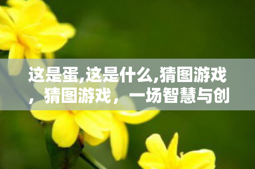 这是蛋,这是什么,猜图游戏，猜图游戏，一场智慧与创意的较量