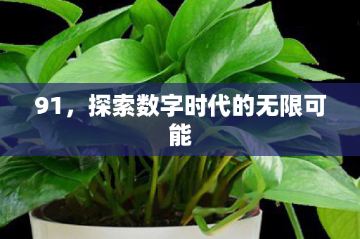 91,探索数字时代的无限可能 91,探索数字时代的无限可能