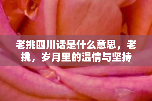老挑四川话是什么意思，老挑，岁月里的温情与坚持