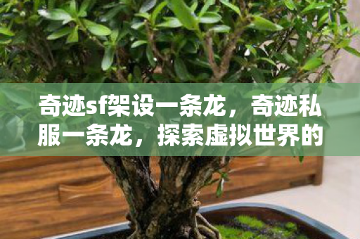 奇迹sf架设一条龙，奇迹私服一条龙，探索虚拟世界的无限可能