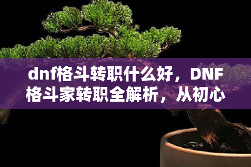 dnf格斗转职什么好，DNF格斗家转职全解析，从初心者到巅峰强者的蜕变之路