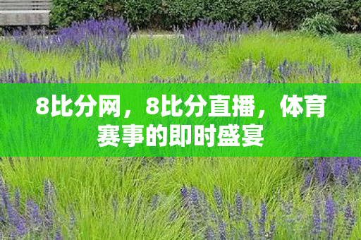 8比分网，8比分直播，体育赛事的即时盛宴