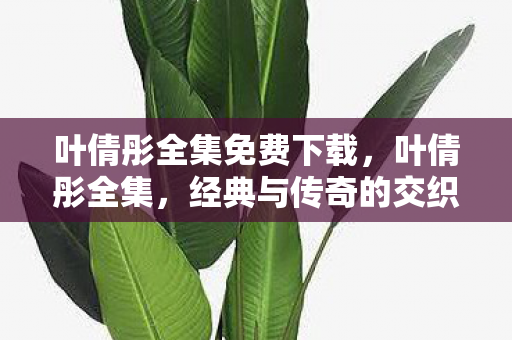 叶倩彤全集免费下载，叶倩彤全集，经典与传奇的交织