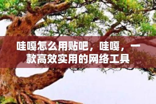 哇嘎怎么用贴吧，哇嘎，一款高效实用的网络工具