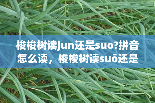 梭梭树读jun还是suo?拼音怎么读，梭梭树读suō还是suǒ揭开植物名称背后的真相