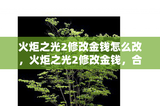 火炬之光2修改金钱怎么改,火炬之光2修改金钱,合法且安全的修改方法 火炬之光2修改金钱怎么改,火炬之光2修改金钱,合法且安全的修改方法