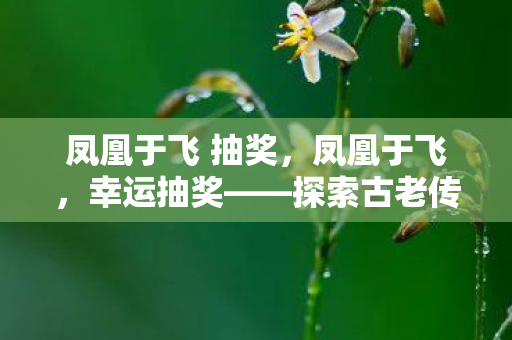 凤凰于飞 抽奖，凤凰于飞，幸运抽奖——探索古老传说中的现代魅力