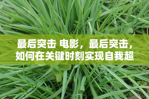 最后突击 电影,最后突击,如何在关键时刻实现自我超越 最后突击 电影,最后突击,如何在关键时刻实现自我超越