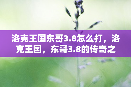 洛克王国东哥3.8怎么打，洛克王国，东哥3.8的传奇之旅