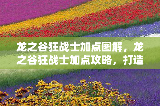 龙之谷狂战士加点图解图片