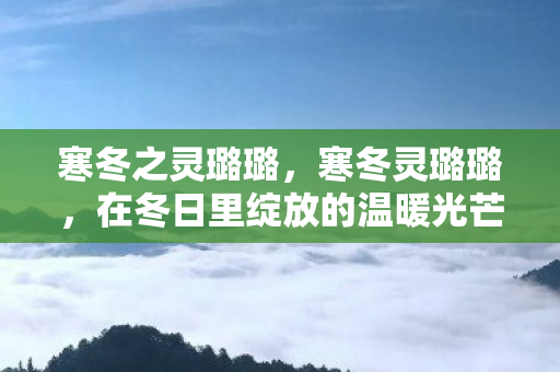 寒冬之灵璐璐,寒冬灵璐璐,在冬日里绽放的温暖光芒 寒冬之灵璐璐,寒冬灵璐璐,在冬日里绽放的温暖光芒